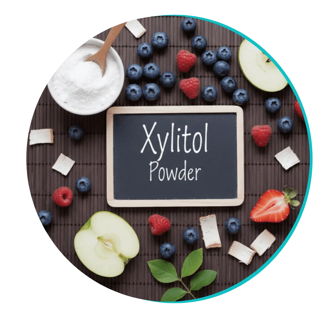Xylitol Powder Ingredient